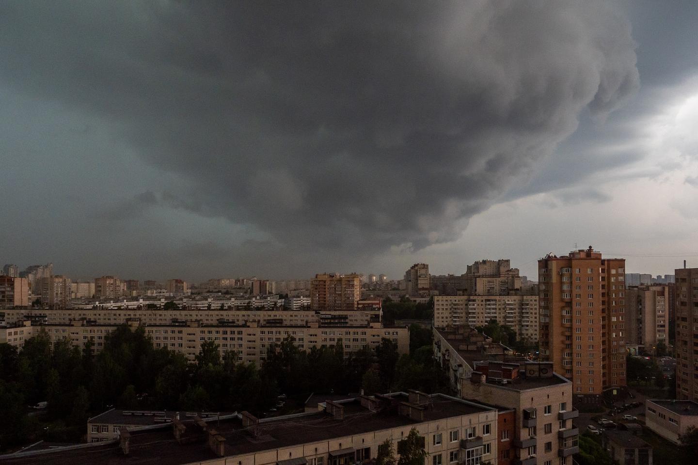 Ураган в Петербурге: повалены деревья, задержаны самолеты, погибли люди